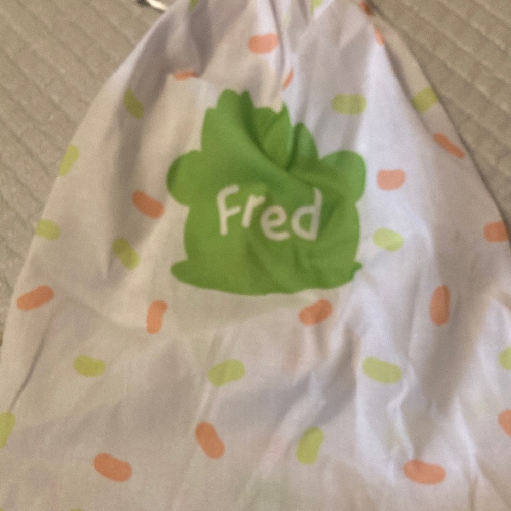 Green Cactus Bear Plush in Orange Pot Moriah Elizabeth Fred plush with bag - Picture 2 of 13